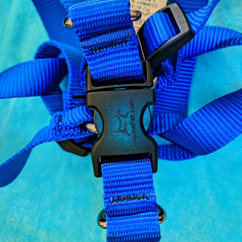 Blue Dog Collar with Adjustable Nylon Harness